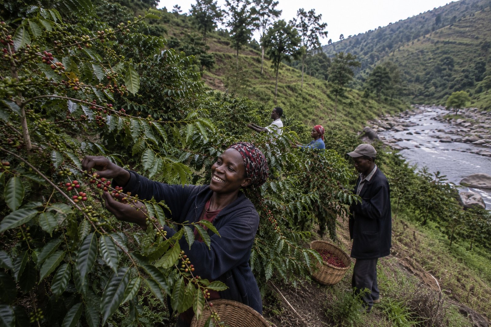 Kavugangoma washing station, Muyinga Province, Burundi — Qahwa Coffee Group origin