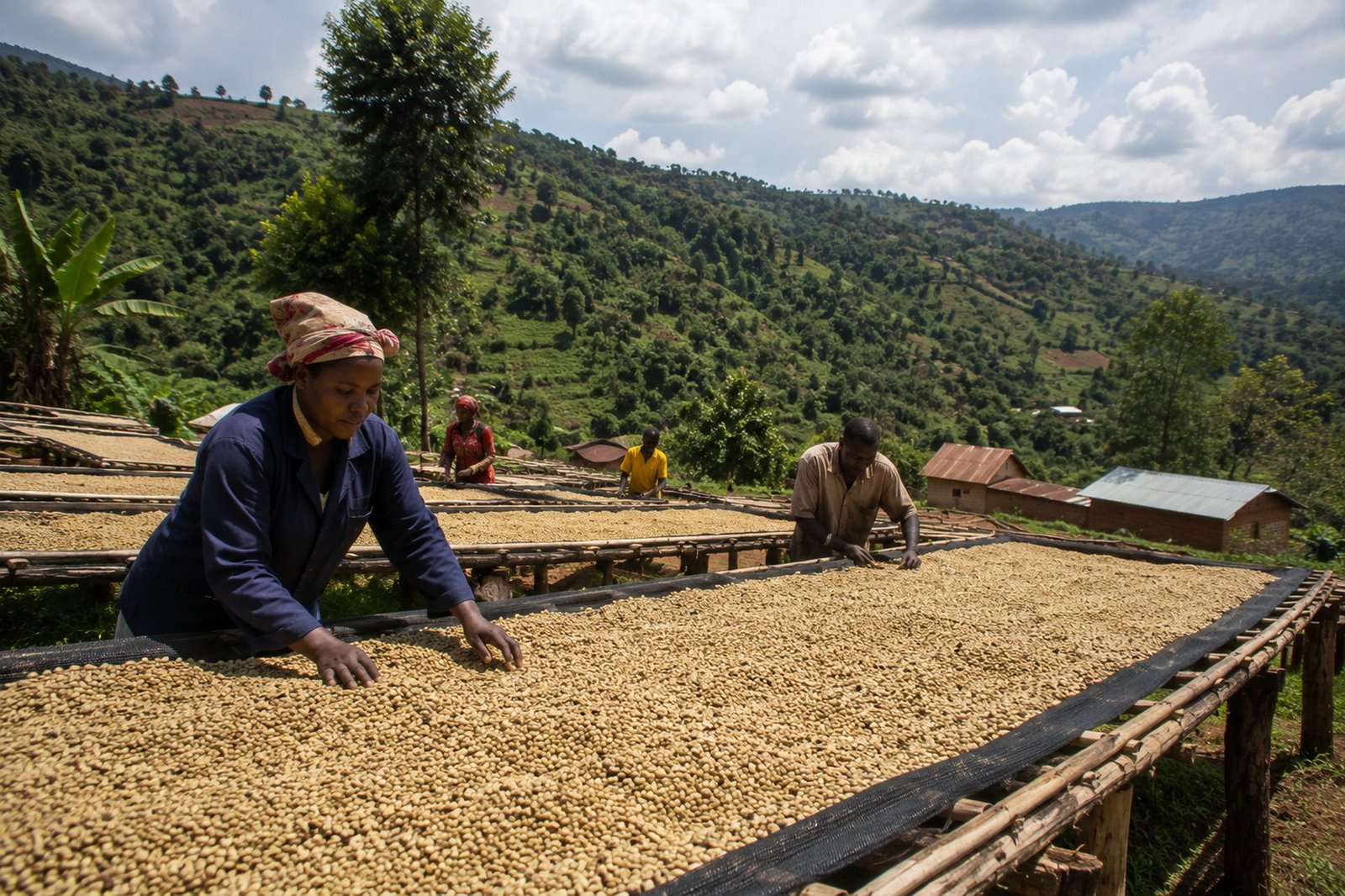 Muyinga Province, Burundi — Qahwa Coffee Group origin region